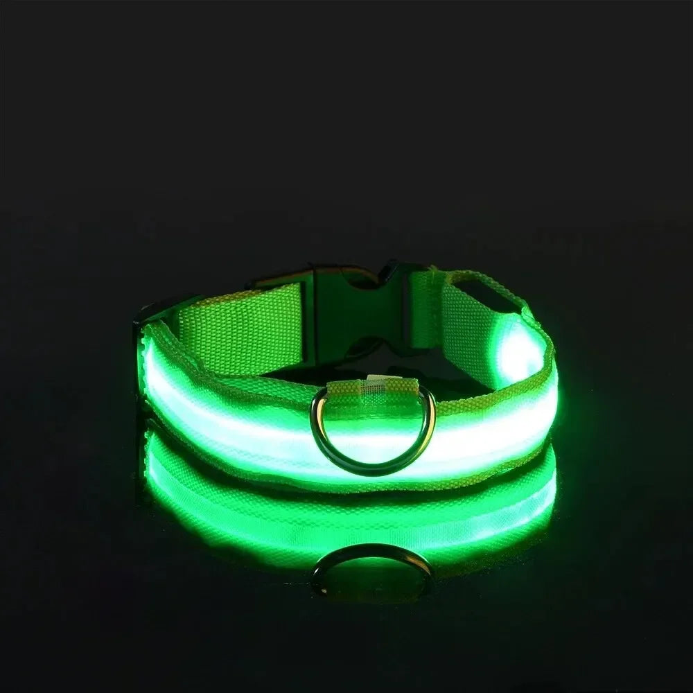 Light up LED Pet Dog Collar Safety Night Walking Flashing Glow in the Dark LED Pet Dog Battery Collar Small Medium Large Dog